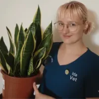 Ida
